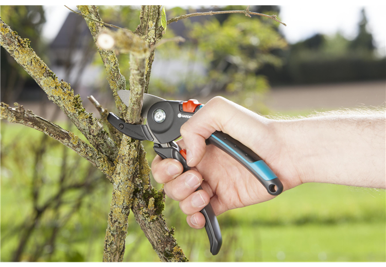 Comfort Anvil Secateurs with Integrated Spring