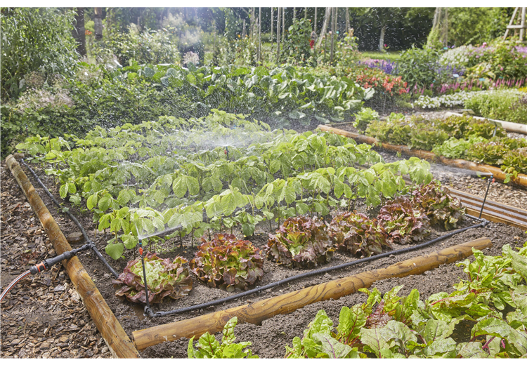 Lašelinio drėkinimo rinkinys daržovių lysvėms/gėlynams (60 m²)​