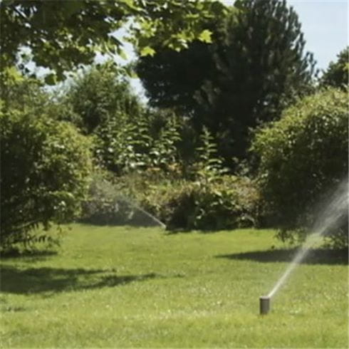 Watering the lawn with sprinklers