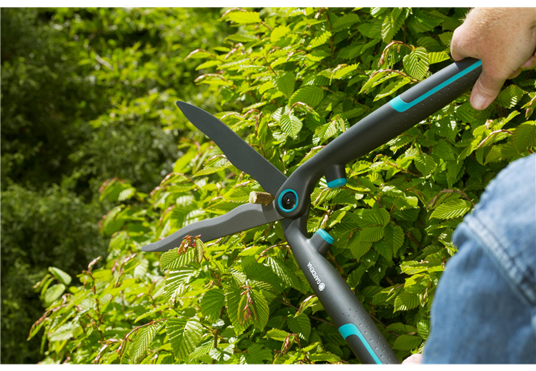 Hedge Clippers EasyCut