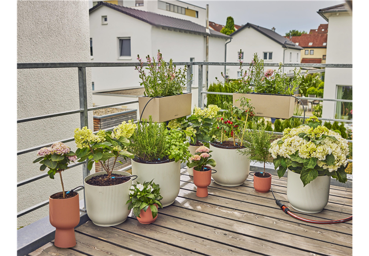 Kit d'initiation pour balcon avec goutteur réglable (15 plantes)