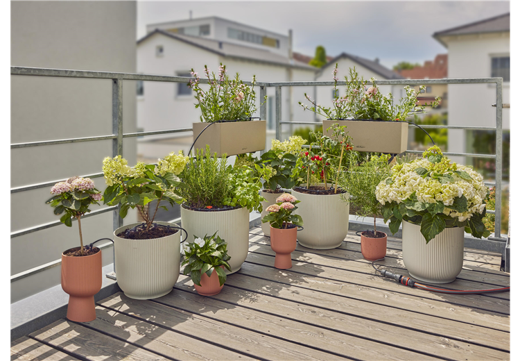 Lašelinio drėkinimo rinkinys balkonams (15 augalų)